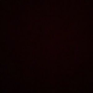 Meet your Posher, Noah